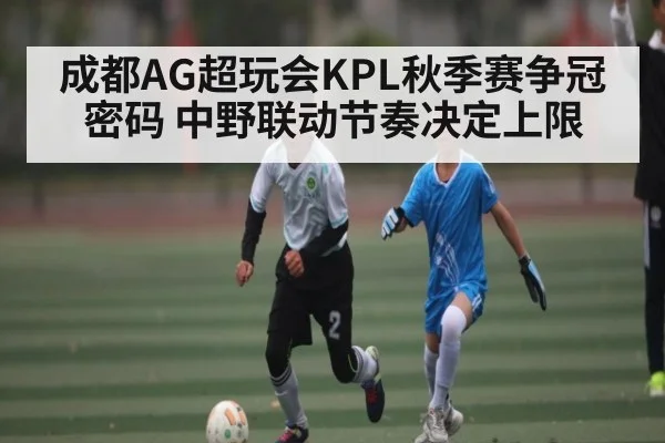 成都AG超玩会KPL秋季赛争冠密码 中野联动节奏决定上限