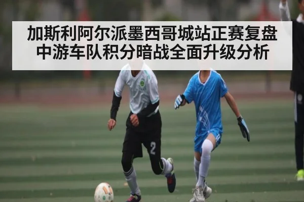 加斯利阿尔派墨西哥城站正赛复盘 中游车队积分暗战全面升级分析